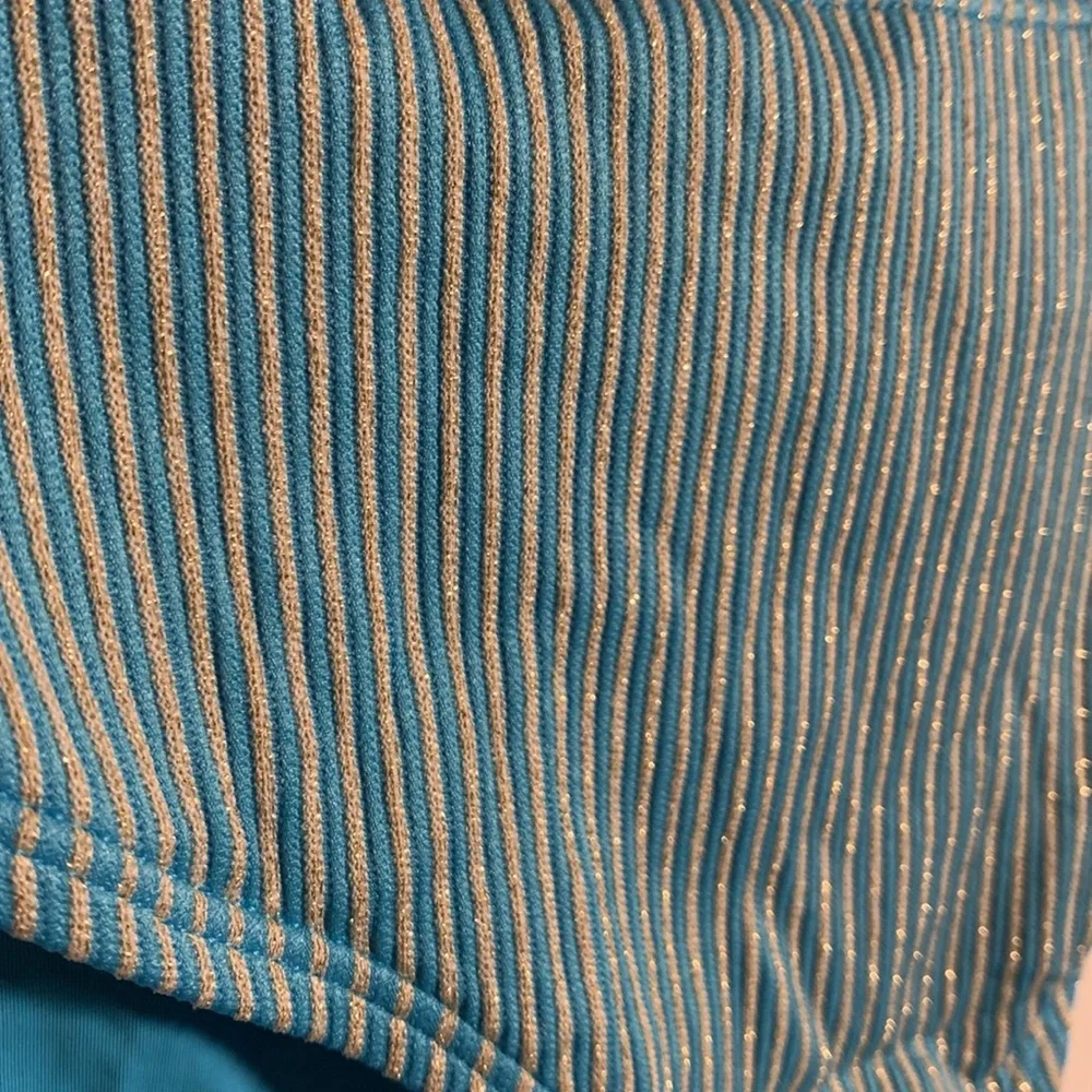 Andie Swim Womens Ribbed Bikini Bottom Blue/ Silver Metallic Beach Cruise XL NWT